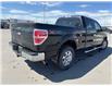 2013 Ford F-150  (Stk: X045468A) in Cranbrook - Image 5 of 18