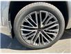 2026 GMC Terrain Denali (Stk: CT005) in High River - Image 6 of 6