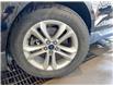 2019 Ford Edge SEL (Stk: 10485AT) in Meadow Lake - Image 2 of 14