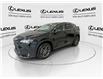 2023 Lexus NX 250 Base (Stk: 14110275A) in Markham - Image 5 of 25