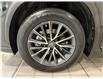 2023 Lexus NX 250 Base (Stk: 14110275A) in Markham - Image 11 of 25