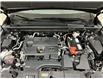 2023 Lexus NX 250 Base (Stk: 14110275A) in Markham - Image 25 of 25
