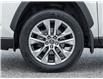 2019 Toyota RAV4  (Stk: 15104749A) in Richmond Hill - Image 5 of 33