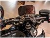 2025 BMW S1000R  (Stk: B1397) in Woodbridge - Image 9 of 17