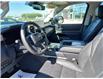 2024 Toyota Sequoia Limited (Stk: 2591551) in Moose Jaw - Image 14 of 24