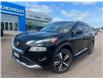 2023 Nissan Rogue Platinum (Stk: 25-398-1) in Pembroke - Image 1 of 17