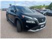 2023 Nissan Rogue Platinum (Stk: 25-398-1) in Pembroke - Image 4 of 17