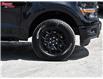 2025 Ford F-150 XLT (Stk: 14-F4055) in Bobcaygeon - Image 4 of 29