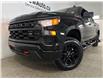 2023 Chevrolet Silverado 1500 Custom Trail Boss (Stk: 42466J) in Belleville - Image 3 of 23