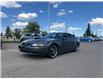 2004 Ford Mustang GT (Stk: SK-294B) in Okotoks - Image 1 of 7