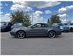 2004 Ford Mustang GT (Stk: SK-294B) in Okotoks - Image 2 of 7