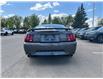 2004 Ford Mustang GT (Stk: SK-294B) in Okotoks - Image 4 of 7