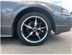2004 Ford Mustang GT (Stk: SK-294B) in Okotoks - Image 5 of 7