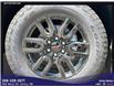 2025 GMC Sierra 1500 Elevation (Stk: 3915) in Unity - Image 17 of 17
