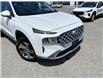 2022 Hyundai Santa Fe  (Stk: DU8078TA) in Ottawa - Image 3 of 16