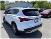 2022 Hyundai Santa Fe  (Stk: DU8078TA) in Ottawa - Image 6 of 16