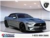 2021 Ford Mustang GT Premium (Stk: DY1241A) in Ottawa - Image 1 of 15