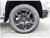 2025 Chevrolet Silverado 1500 LT Trail Boss (Stk: LC1S00396) in Tilbury - Image 8 of 32