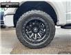 2023 Ford F-150 Tremor (Stk: 5F12971A) in Brantford - Image 6 of 23