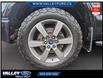 2016 Ford F-150  (Stk: 25050A) in Kentville - Image 5 of 12
