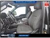 2016 Ford F-150  (Stk: 25050A) in Kentville - Image 6 of 12