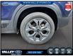 2024 Kia Seltos  (Stk: 25P043) in Kentville - Image 7 of 20