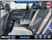 2024 Kia Seltos  (Stk: 25P043) in Kentville - Image 8 of 20