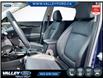 2024 Kia Seltos  (Stk: 25P043) in Kentville - Image 9 of 20