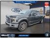 2016 Ford F-150  (Stk: 25210A) in Kentville - Image 1 of 13