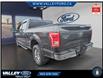 2016 Ford F-150  (Stk: 25210A) in Kentville - Image 4 of 13