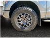 2025 Ford F-150 Tremor (Stk: 25T079) in ROCKY MOUNTAIN HOUSE - Image 14 of 15