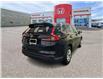 2025 Honda CR-V LX (Stk: 3905) in Lethbridge - Image 3 of 24