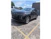2024 Hyundai Tucson Trend (Stk: 13666A) in Smiths Falls - Image 1 of 3