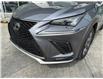 2021 Lexus NX 300 Base (Stk: L25074A) in Calgary - Image 6 of 23