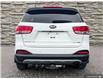 2018 Kia Sorento 2.0L EX (Stk: 25079A) in Quesnel - Image 5 of 24