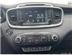 2018 Kia Sorento 2.0L EX (Stk: 25079A) in Quesnel - Image 18 of 24