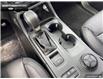 2025 Ford Ranger Lariat (Stk: 5RG09365) in Brantford - Image 14 of 21