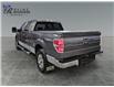2009 Ford F-150 FX4 (Stk: S9615A) in ROSETOWN - Image 5 of 17