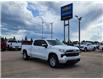 2025 Chevrolet Silverado 1500 LT (Stk: N250531) in Stony Plain - Image 20 of 45