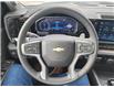 2025 Chevrolet Silverado 1500 LT (Stk: N250531) in Stony Plain - Image 39 of 45