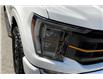 2023 Ford F-150 Tremor (Stk: 25F16783A) in Vancouver - Image 30 of 36