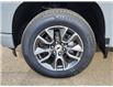 2025 Chevrolet Silverado 1500 RST (Stk: N250544) in Stony Plain - Image 4 of 50
