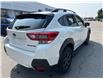 2023 Subaru Crosstrek Outdoor (Stk: L585) in Newmarket - Image 7 of 18
