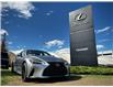 2023 Lexus IS 300 Base (Stk: 251011A) in Calgary - Image 7 of 19
