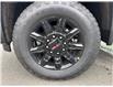 2025 GMC Sierra 2500HD AT4 (Stk: 25278) in Campbellton - Image 4 of 20