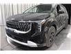 2025 Kia Carnival LX+ (Stk: 26190) in Edmonton - Image 6 of 23