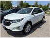 2019 Chevrolet Equinox LS (Stk: TK158756) in Caledonia - Image 1 of 14