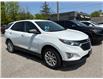 2019 Chevrolet Equinox LS (Stk: TK158756) in Caledonia - Image 3 of 14