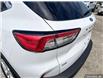 2022 Ford Escape SE Hybrid (Stk: TLR746) in Sarnia - Image 11 of 25