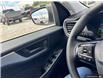 2022 Ford Escape SE Hybrid (Stk: TLR746) in Sarnia - Image 17 of 25